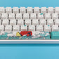 DE61C WITH JAPANESE CORAL SEA / ASSEMBLED 60% MECHANICAL KEYBOARD