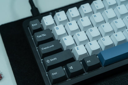 PBT DOUBLESHOT OEM PROFILE ARTIC KEYCAPS SET