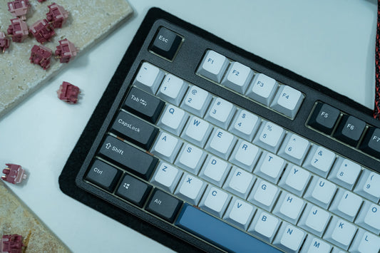 PBT DOUBLESHOT OEM PROFILE ARTIC KEYCAPS SET