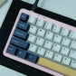 PBT DOUBLESHOT OEM PROFILE RUDY KEYCAPS SET